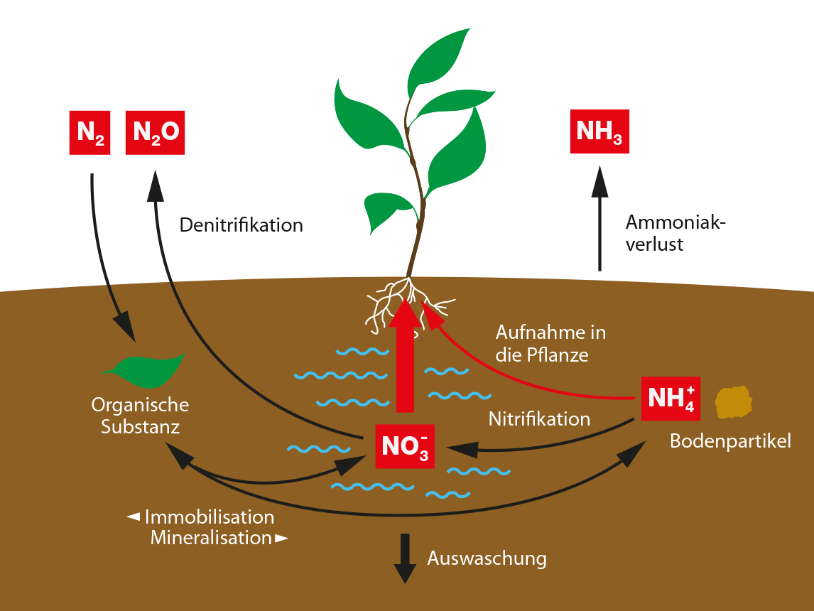 K+S Minerals and Agriculture GmbH Stickstoff
