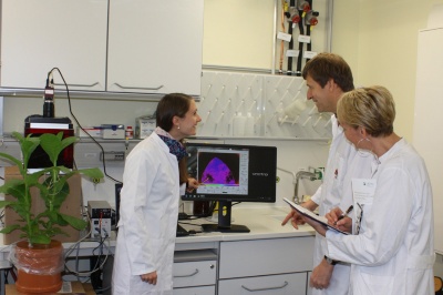 Divulgar a investigação e o conhecimento: O IAPN