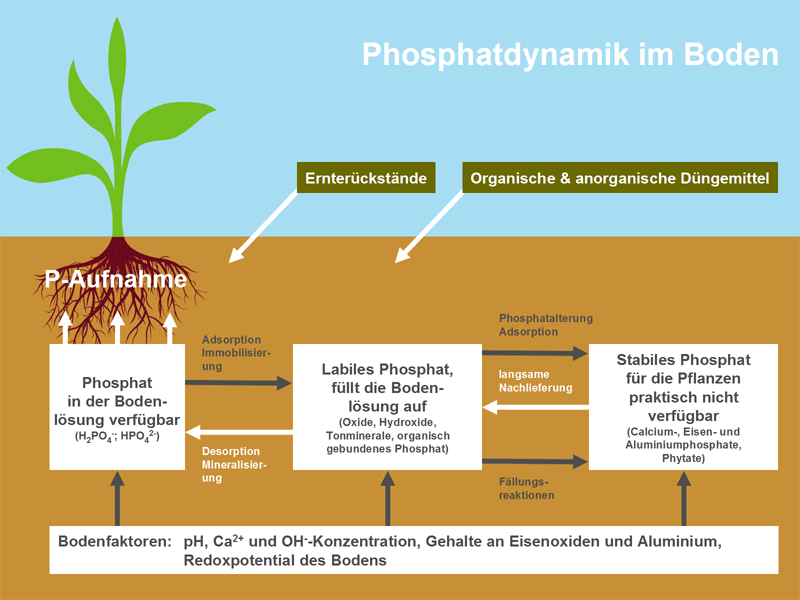 K S Minerals and Agriculture GmbH - Phosphor