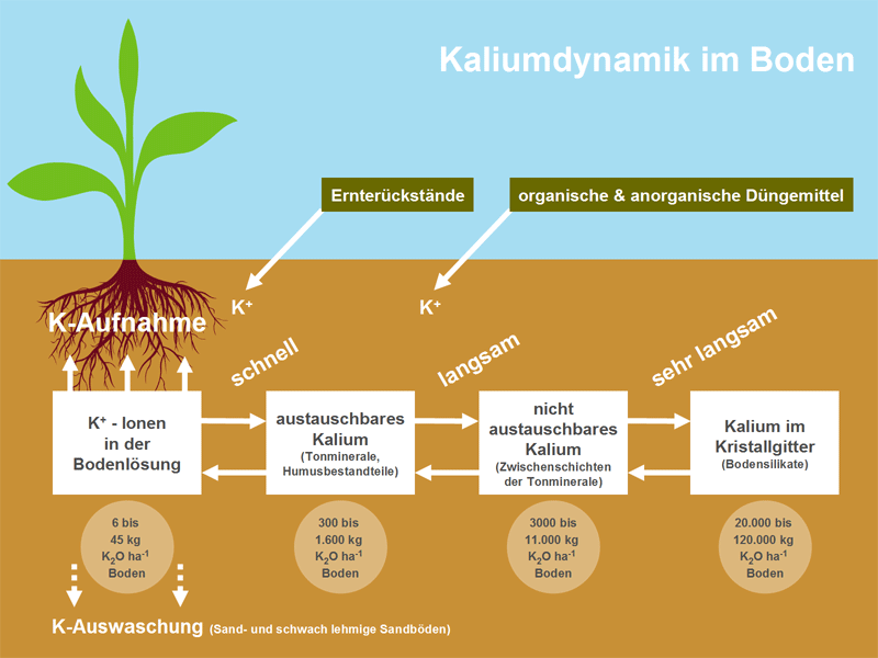 K S Minerals and Agriculture GmbH - Kalium