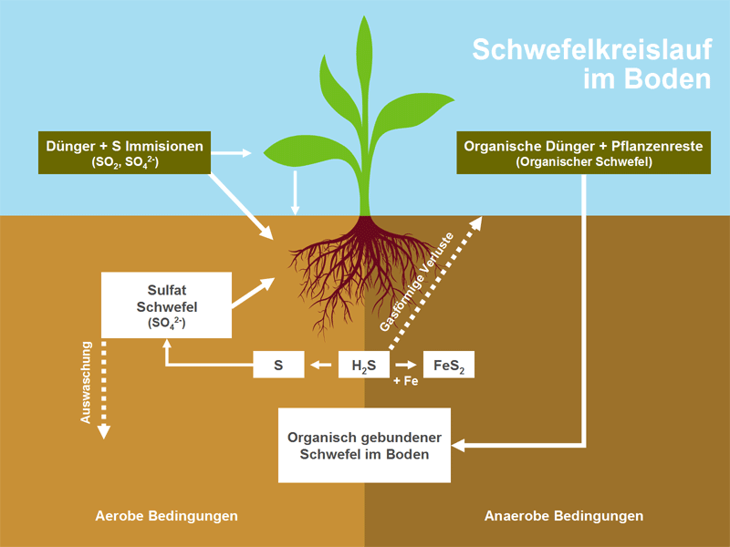 K S Minerals and Agriculture GmbH - Schwefel