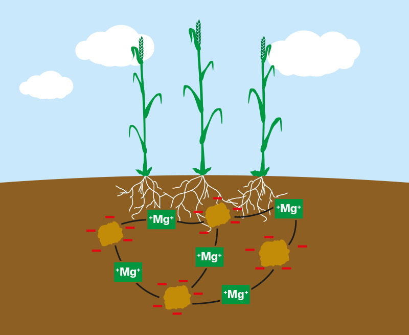 K+S Minerals and Agriculture GmbH Magnesium