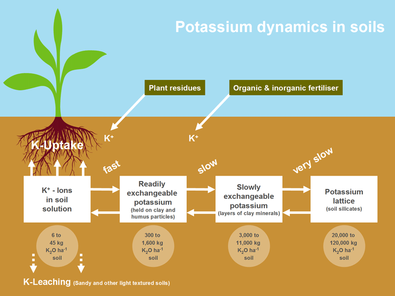 K+S Minerals and Agriculture GmbH Potassium