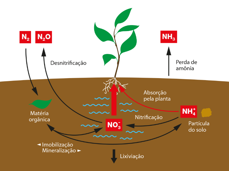 K+S Minerals and Agriculture GmbH Nitrogênio K+S Minerals and Agriculture GmbH Nitrogênio